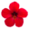 kateelife.com